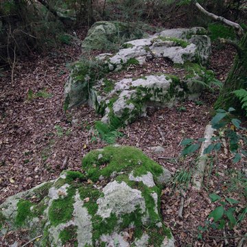 Site mégalithique de la Lande du Gras à Meslin