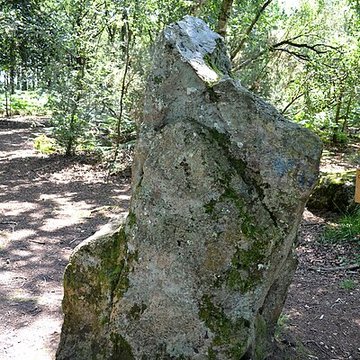 Site mégalithique de la Lande du Gras à Meslin