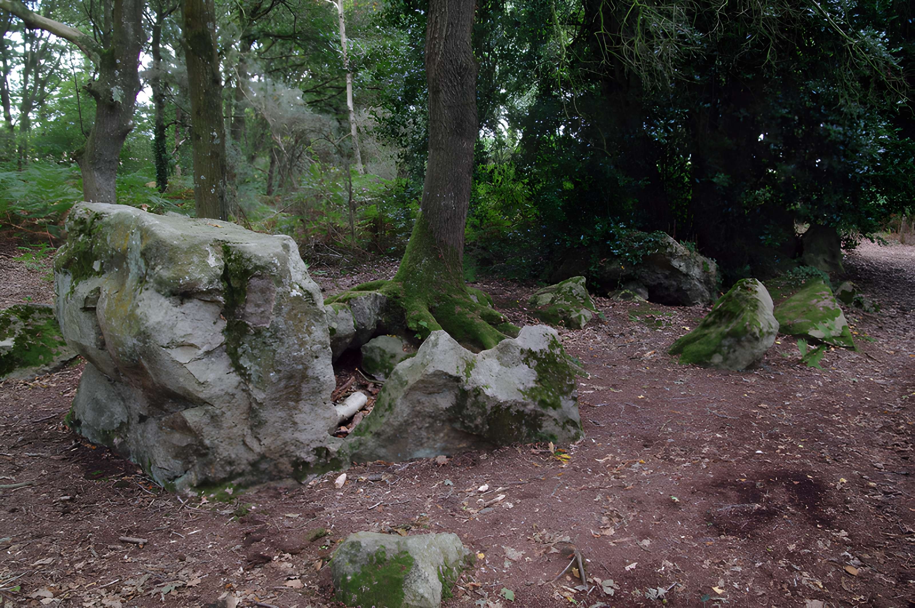 Site mégalithique de la Lande du Gras à Meslin
