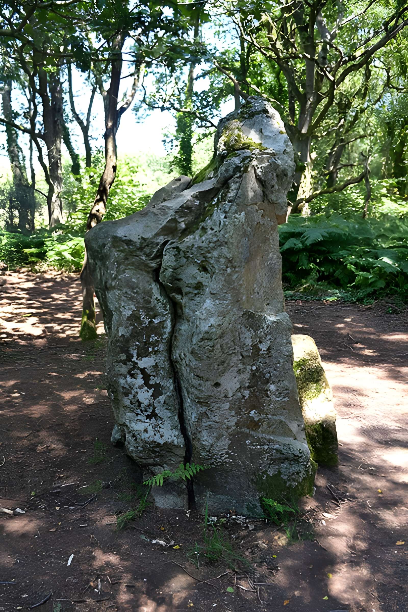 Site mégalithique de la Lande du Gras à Meslin