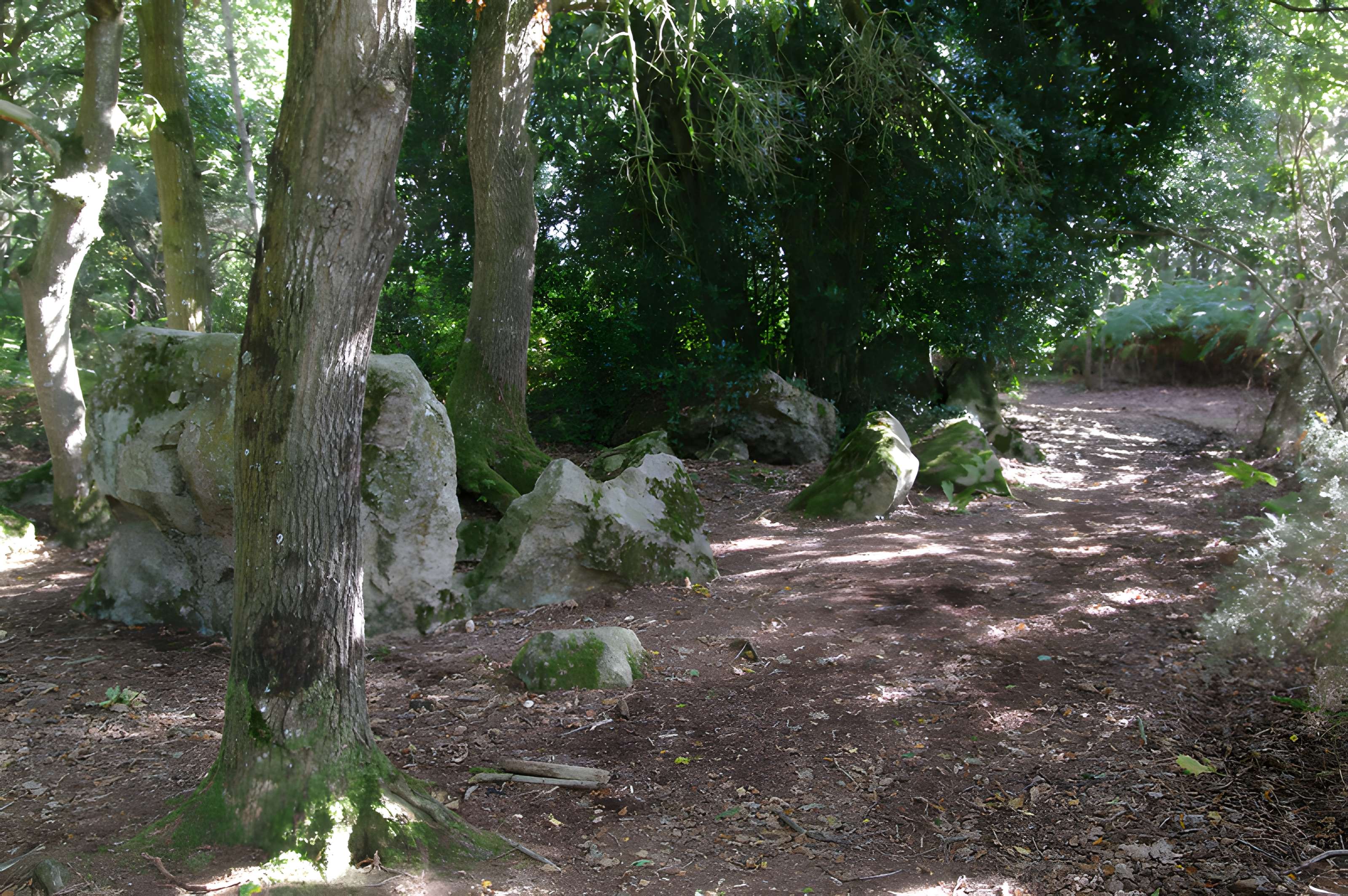 Site mégalithique de la Lande du Gras à Meslin