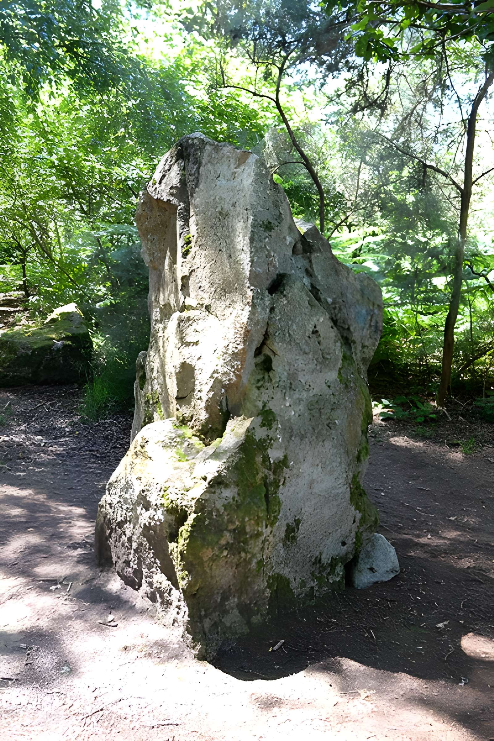 Site mégalithique de la Lande du Gras à Meslin