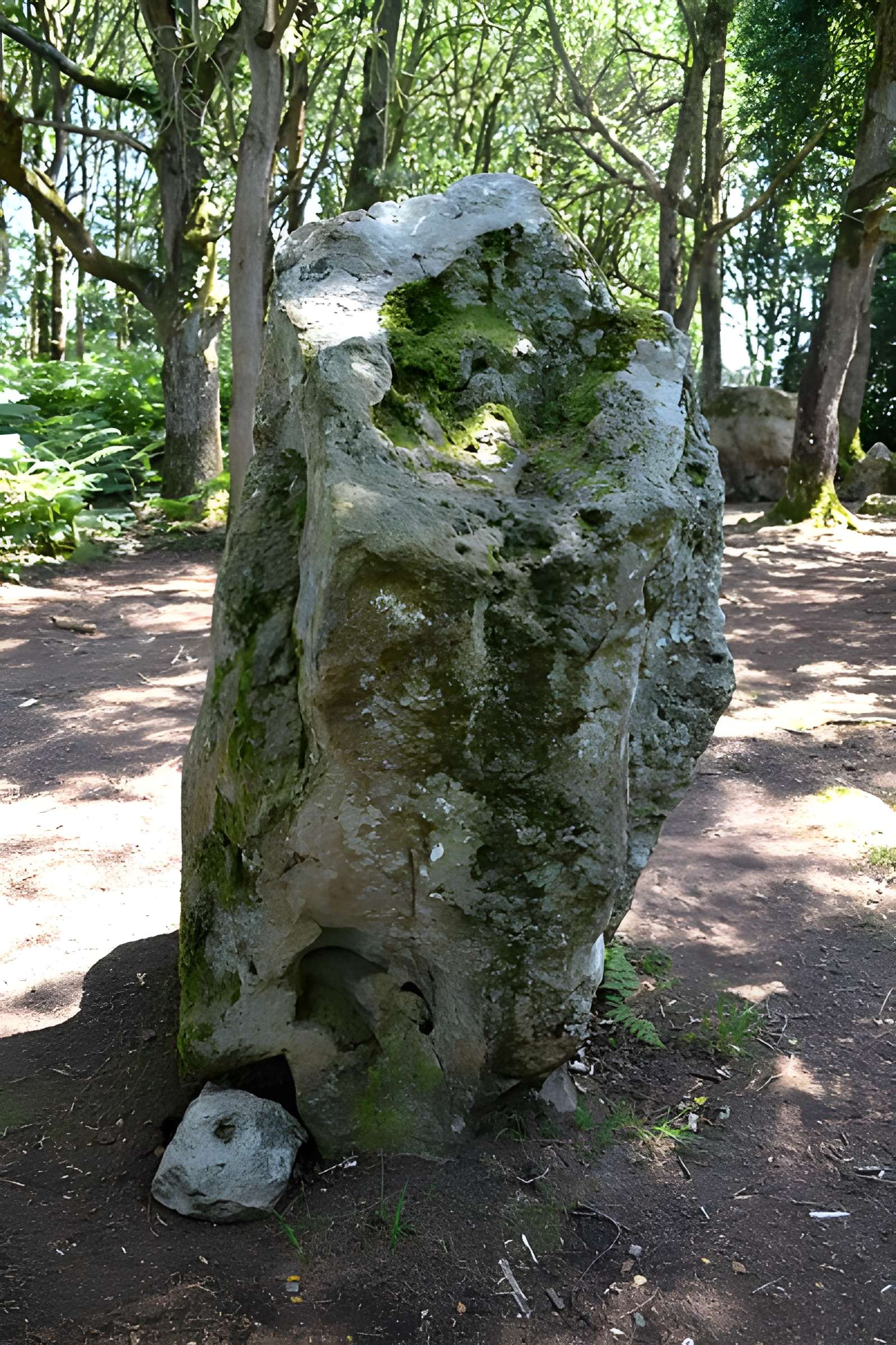 Site mégalithique de la Lande du Gras à Meslin