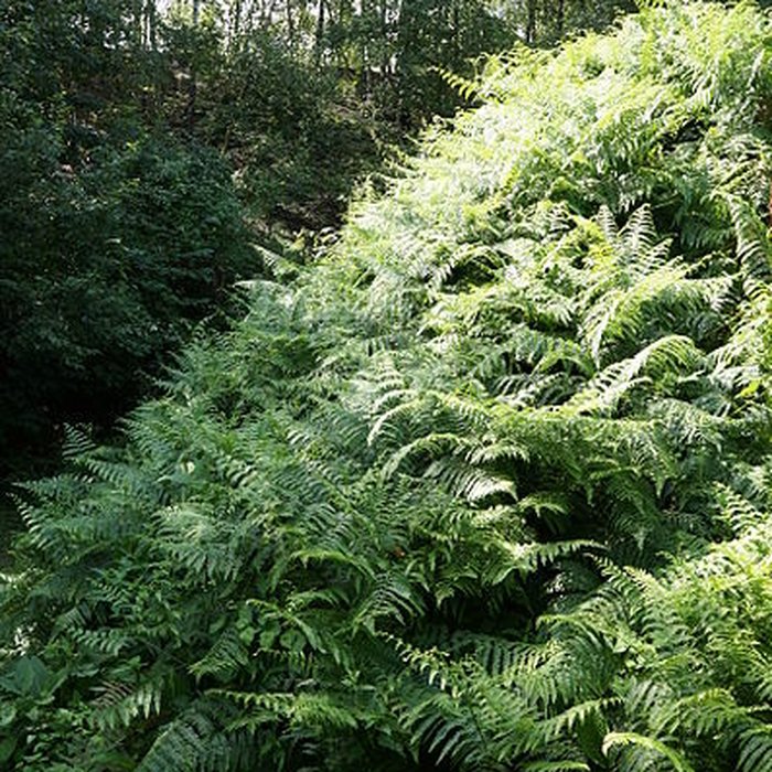 Photo de Site minier de Wallers-Arenberg