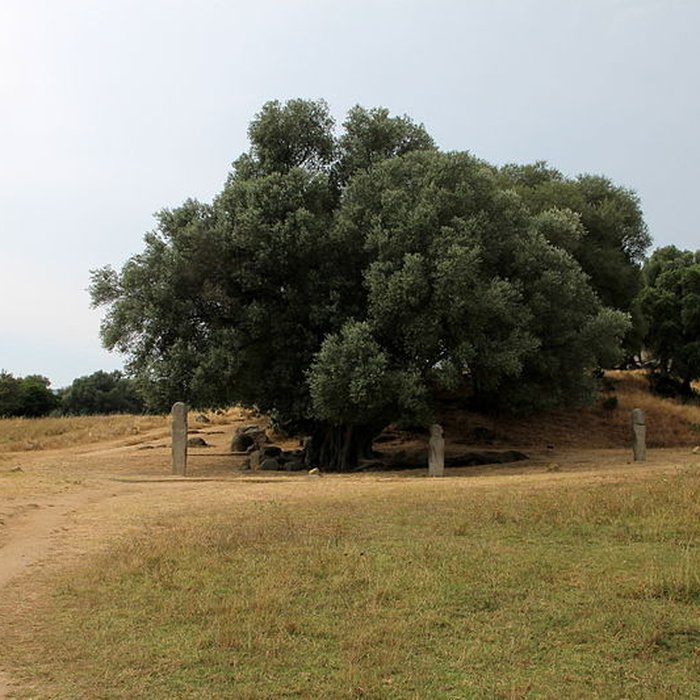 Photo de Site préhistorique de Callanchi