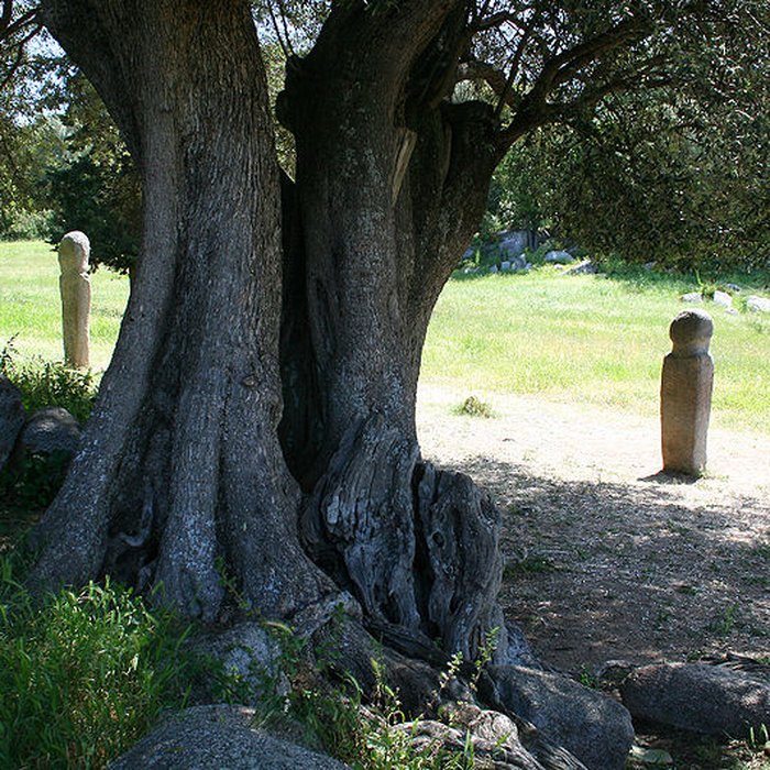 Photo de Site préhistorique de Callanchi