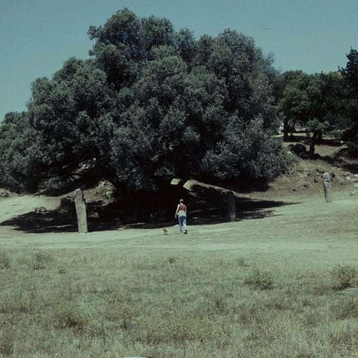 Photo de Site préhistorique de Callanchi