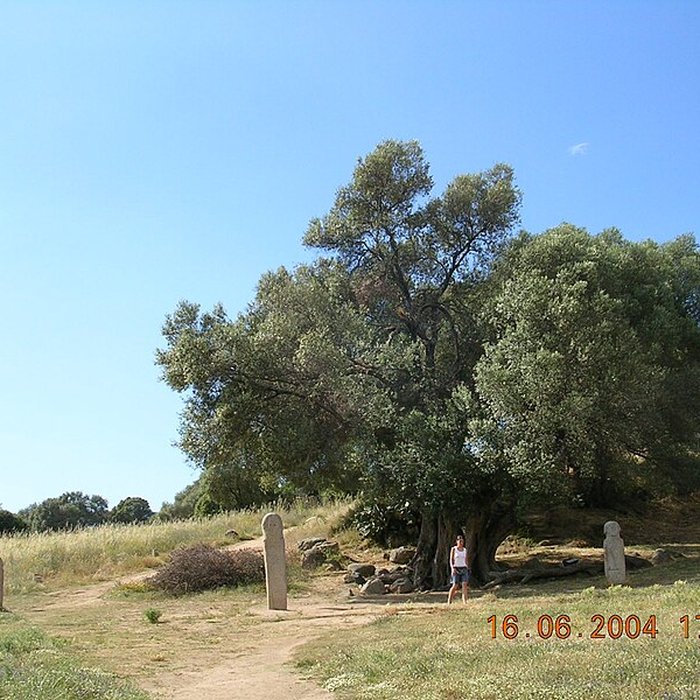 Photo de Site préhistorique de Callanchi