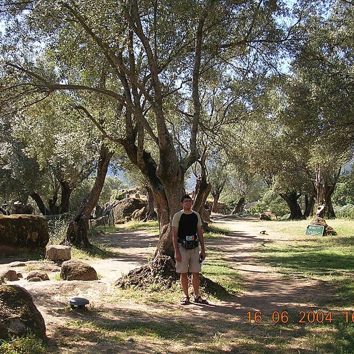 Photo de Site préhistorique de Callanchi