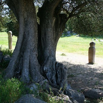 Site préhistorique de Callanchi