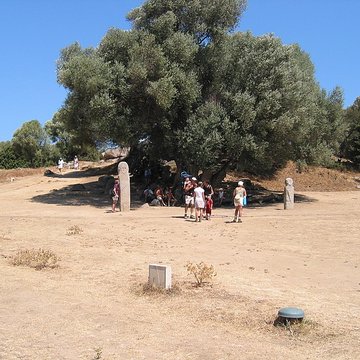 Site préhistorique de Callanchi