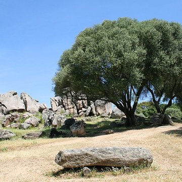 Site préhistorique de Callanchi