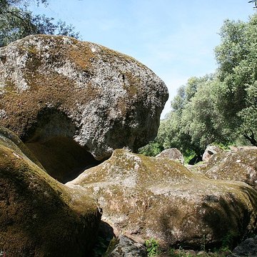 Site préhistorique de Callanchi