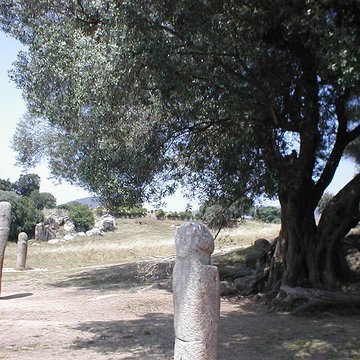 Site préhistorique de Callanchi