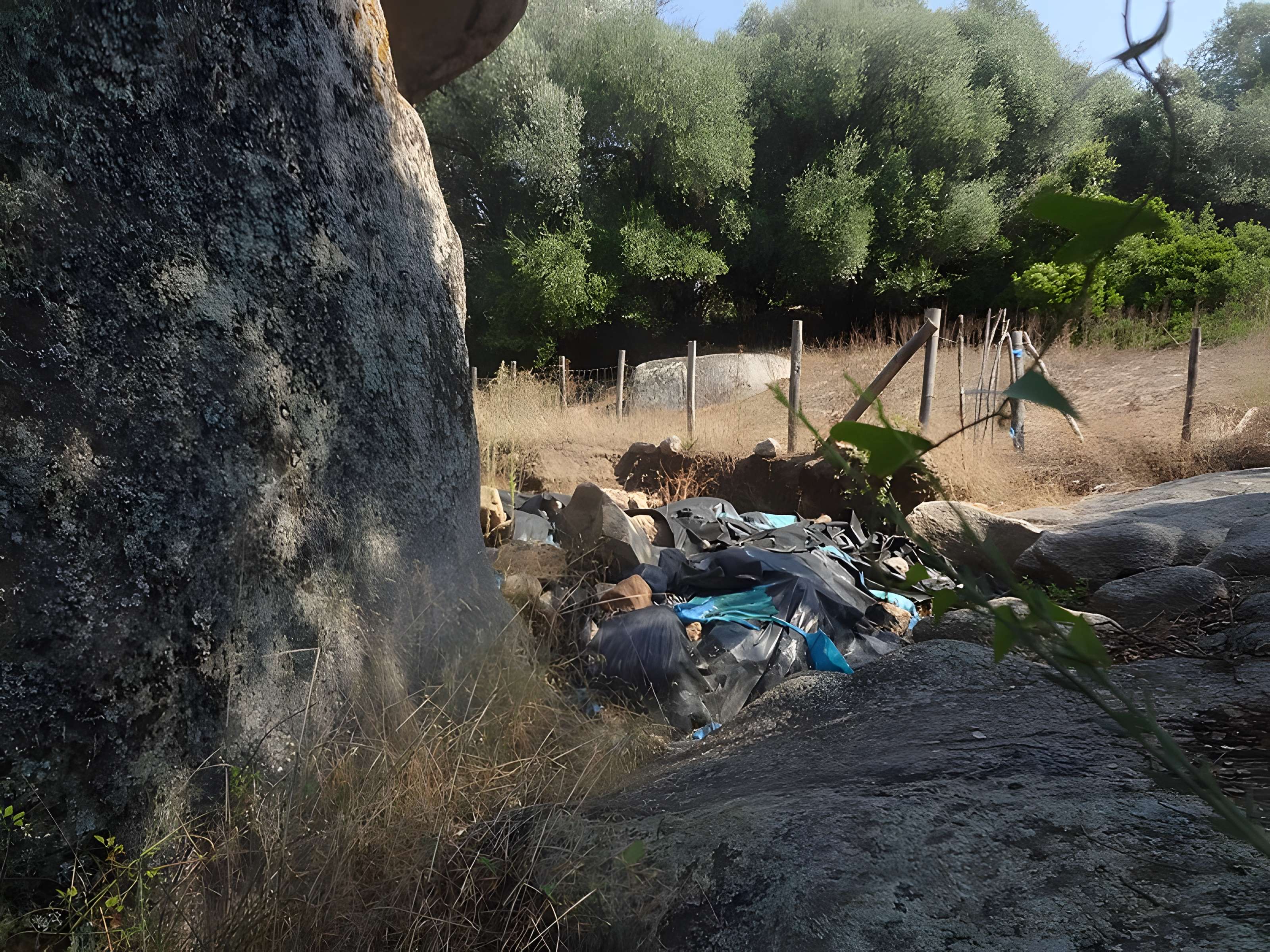 Site préhistorique de Callanchi