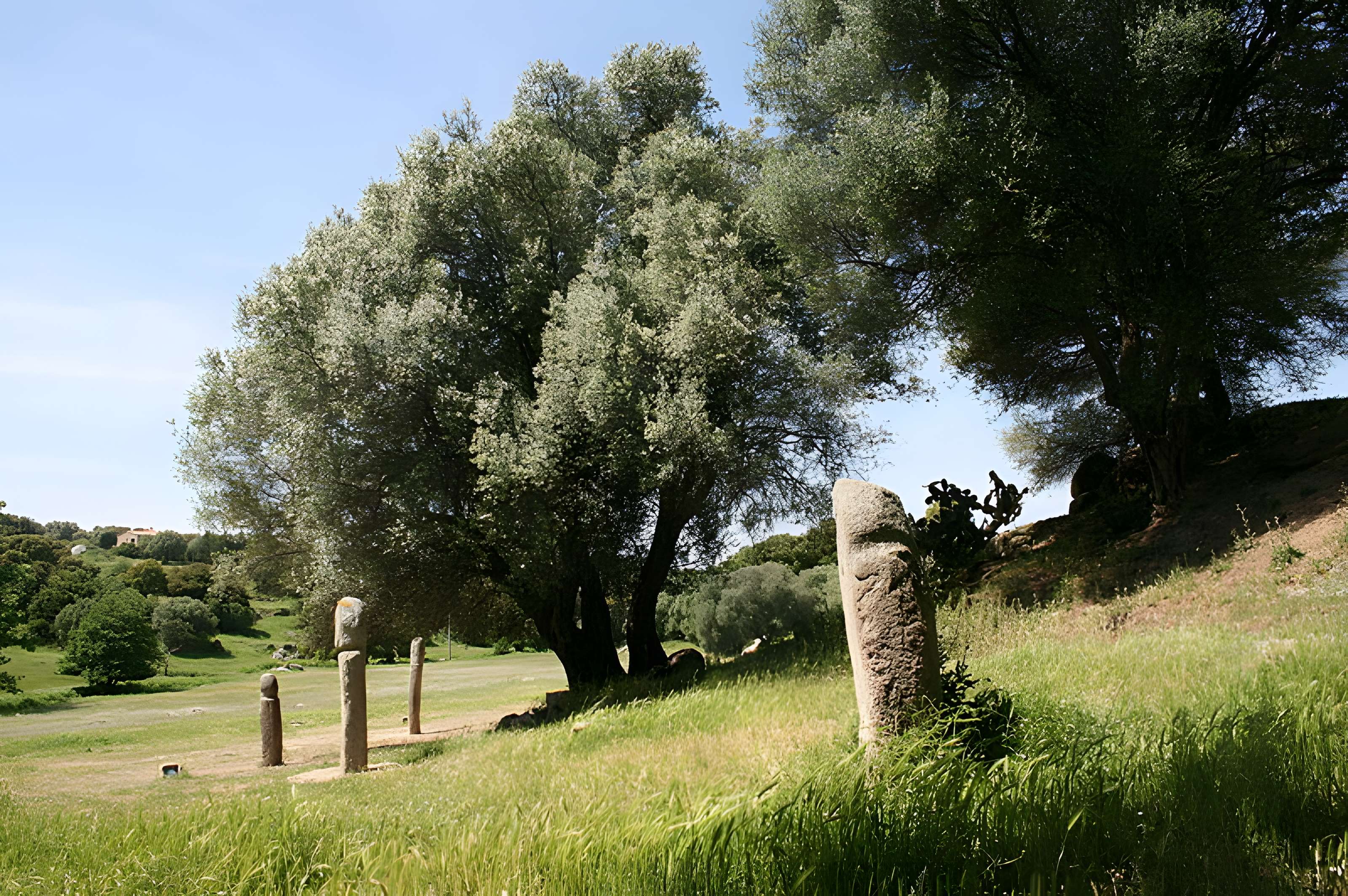 Site préhistorique de Callanchi