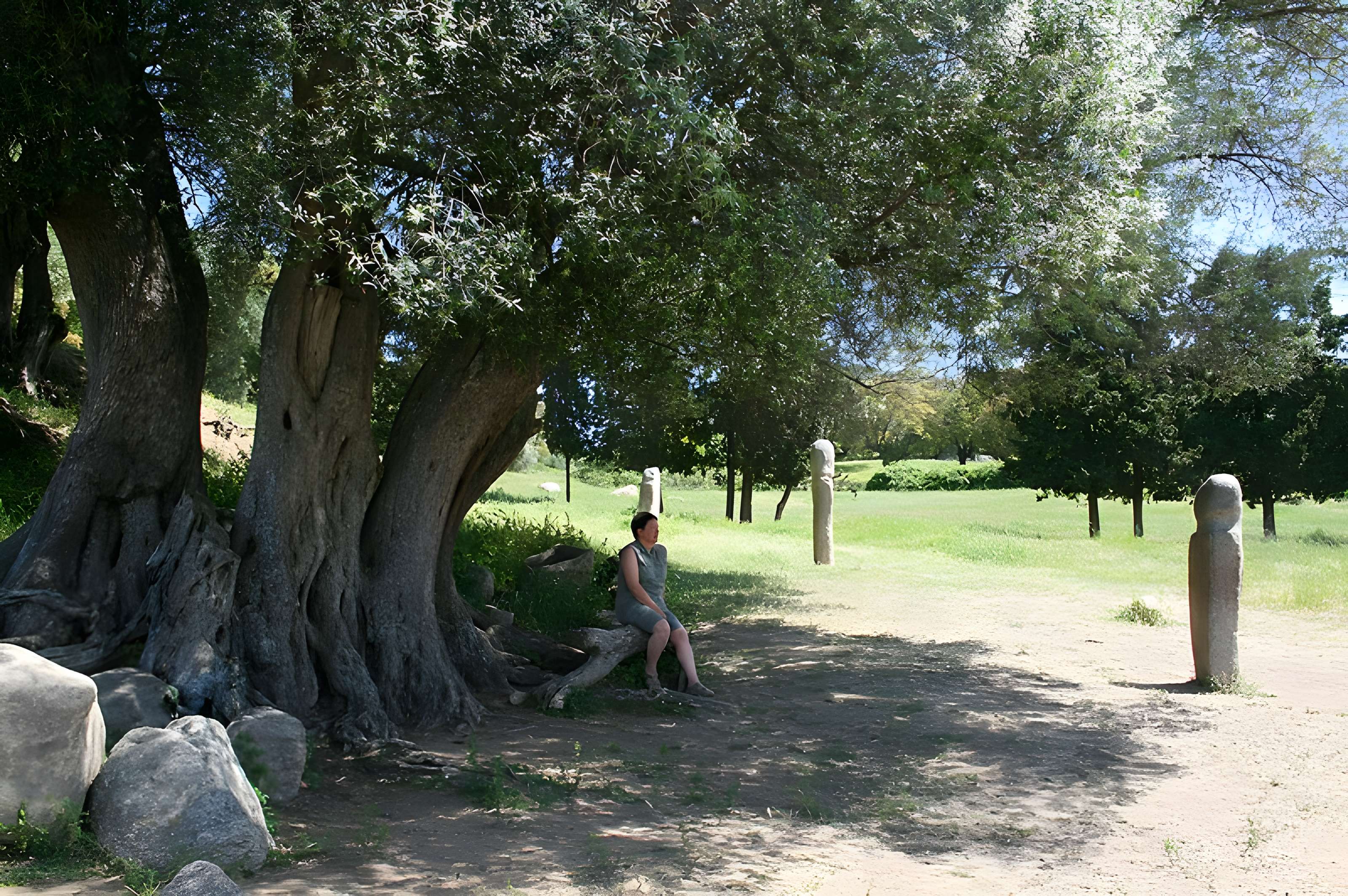 Site préhistorique de Callanchi