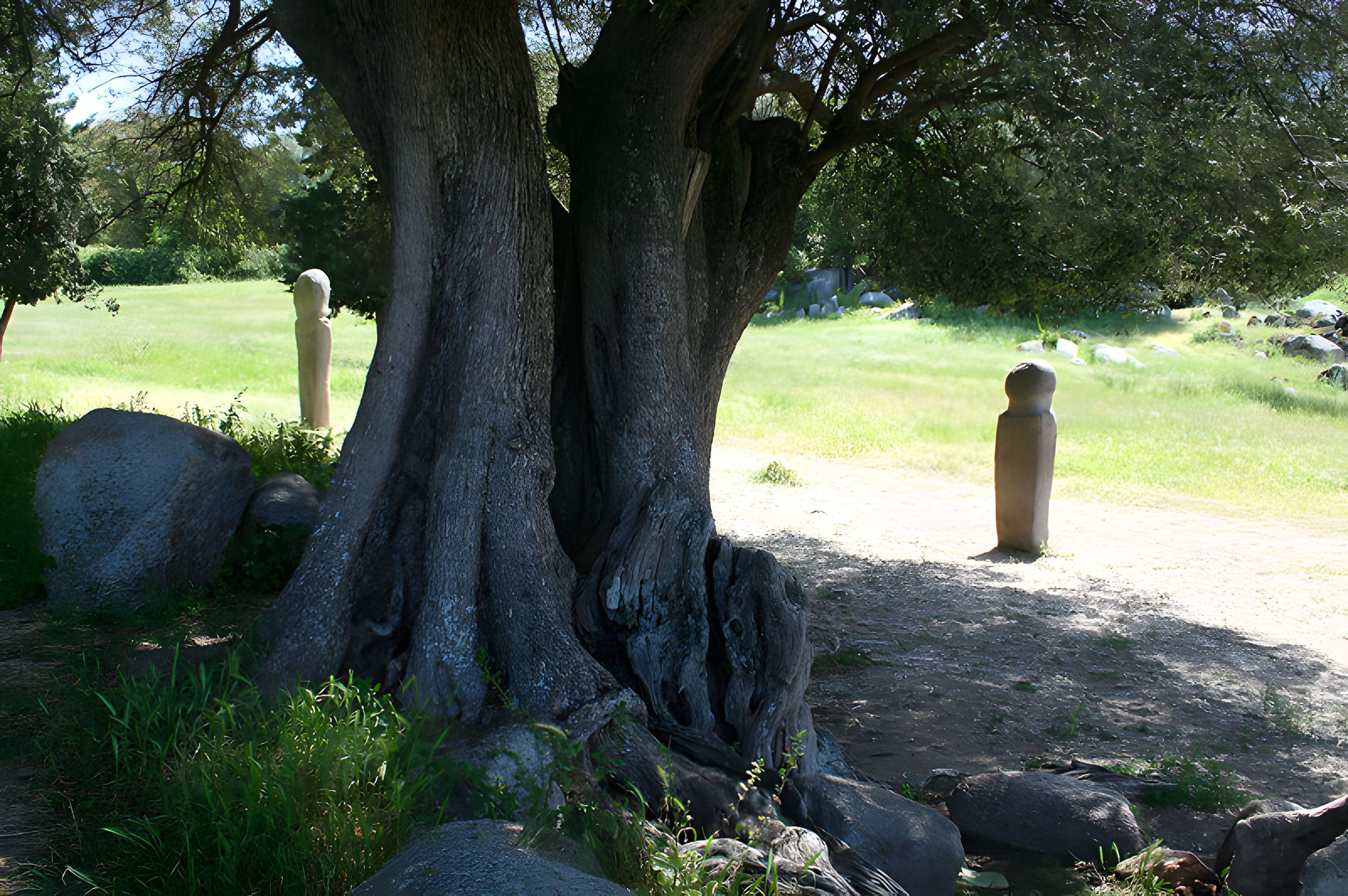 Site préhistorique de Callanchi