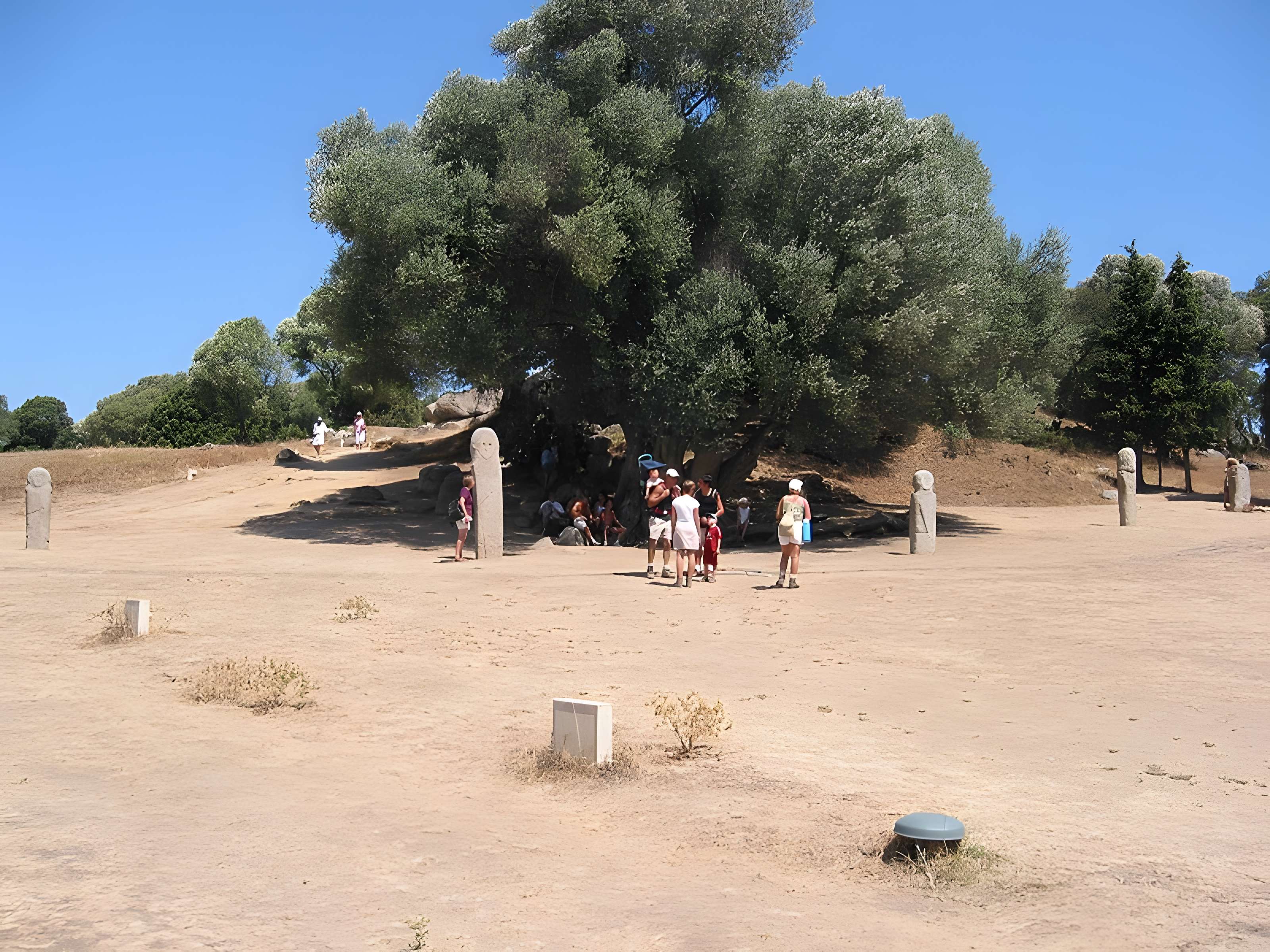 Site préhistorique de Callanchi