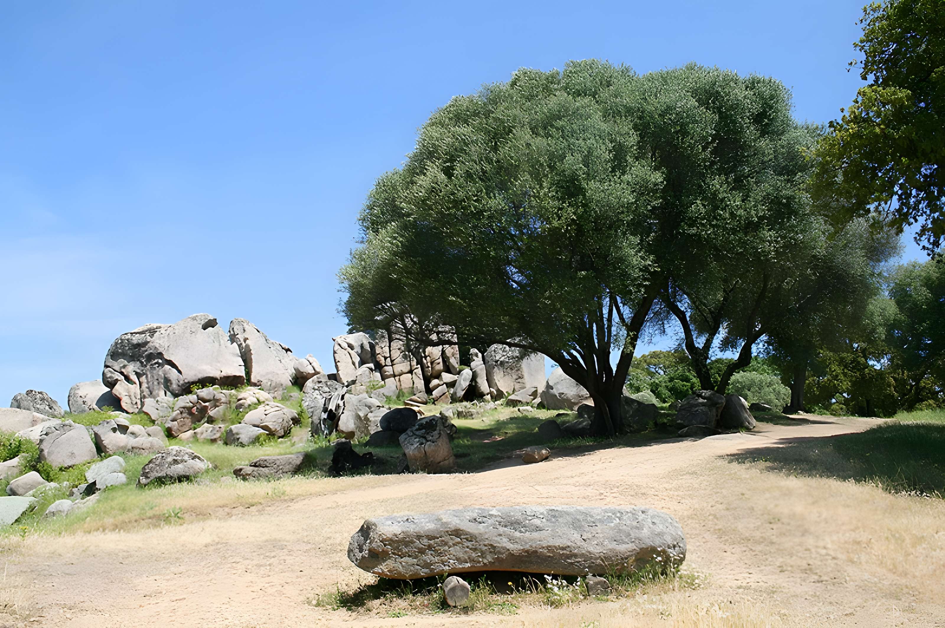 Site préhistorique de Callanchi