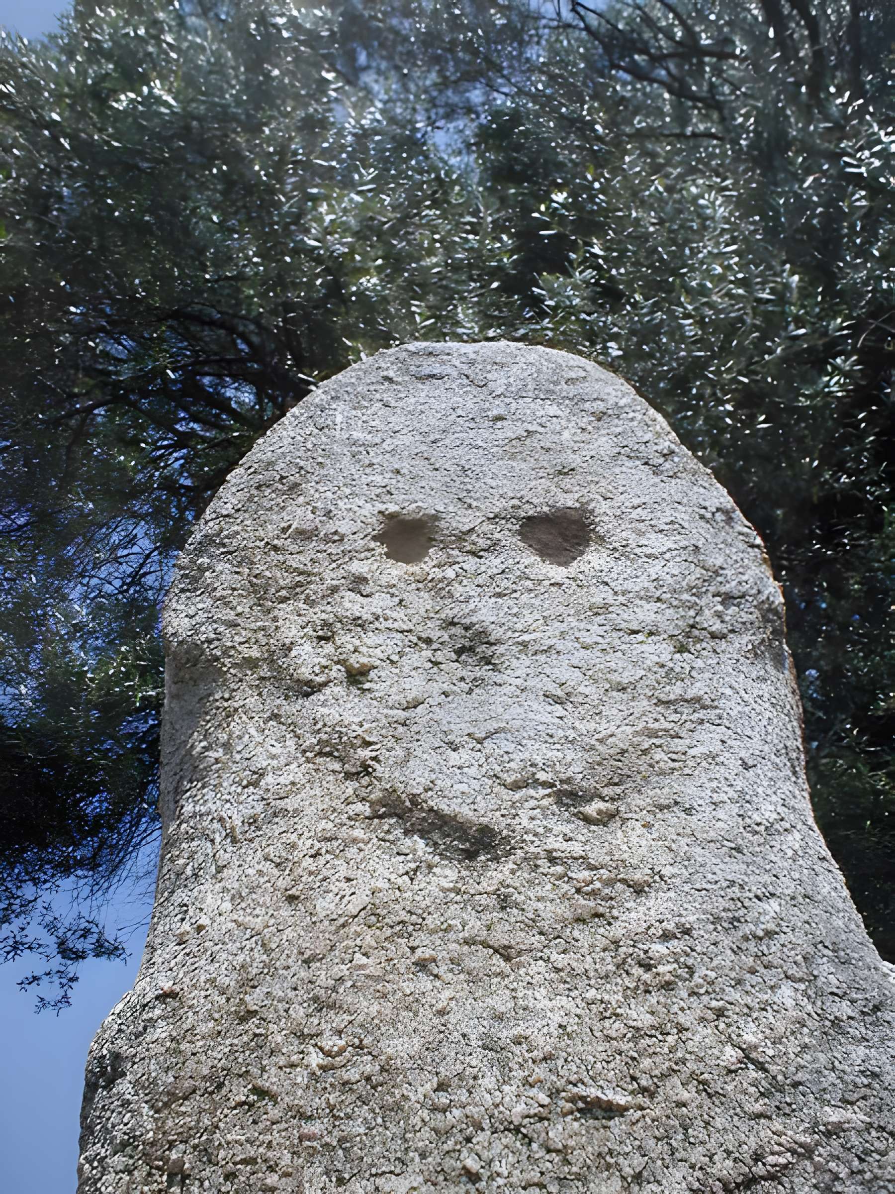 Site préhistorique de Callanchi