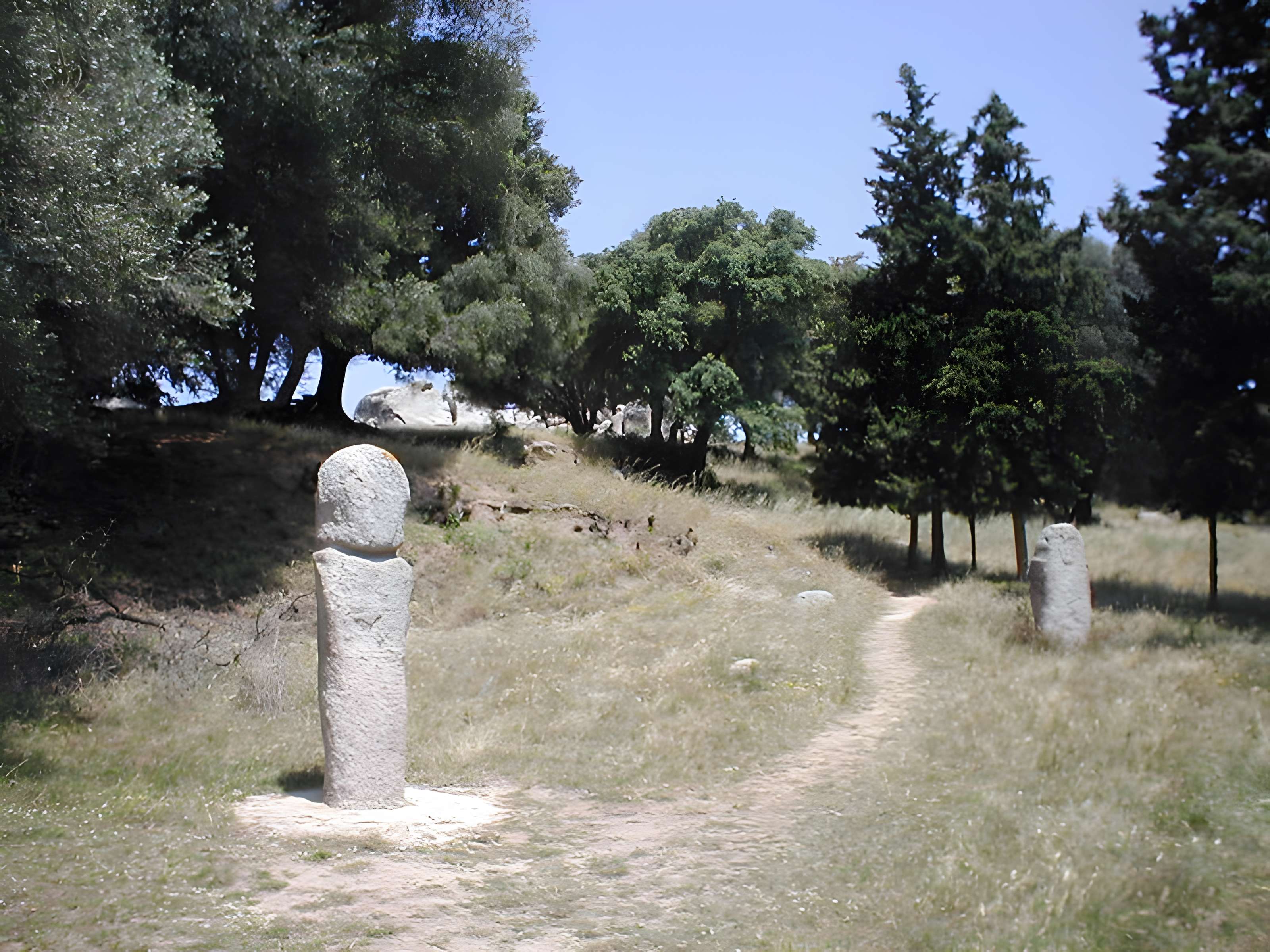 Site préhistorique de Callanchi