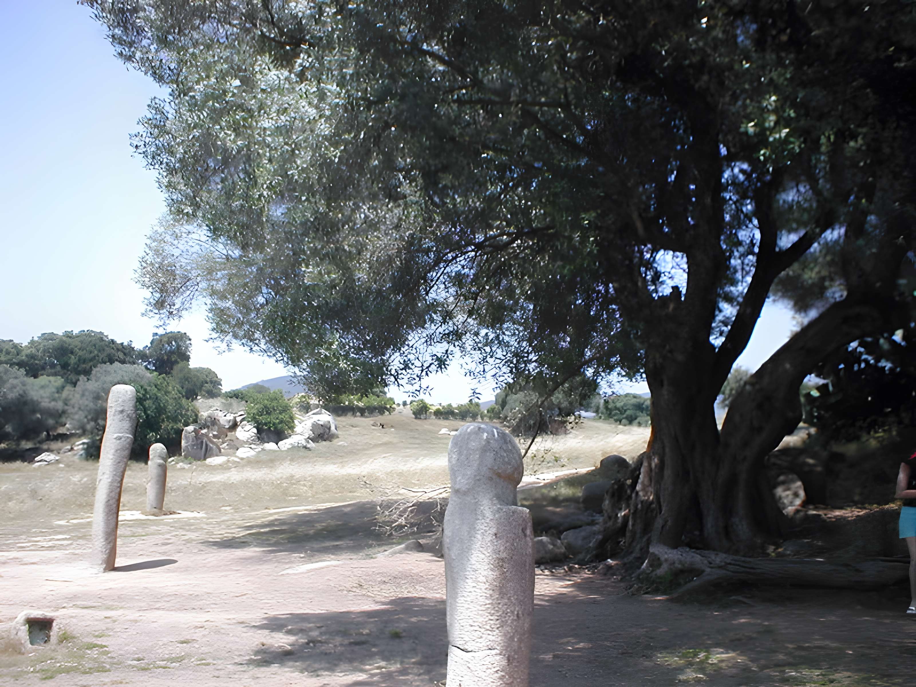 Site préhistorique de Callanchi