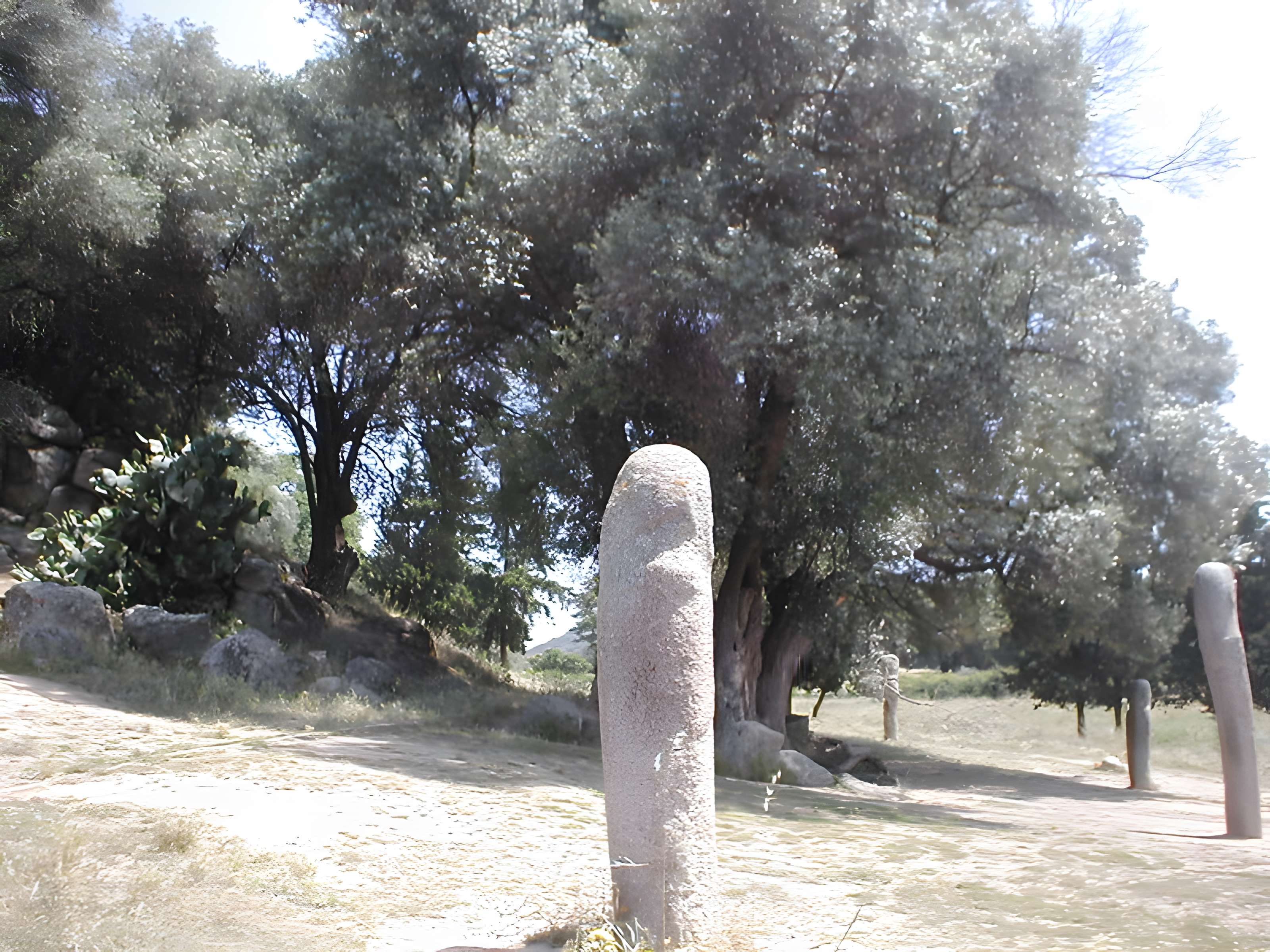 Site préhistorique de Callanchi