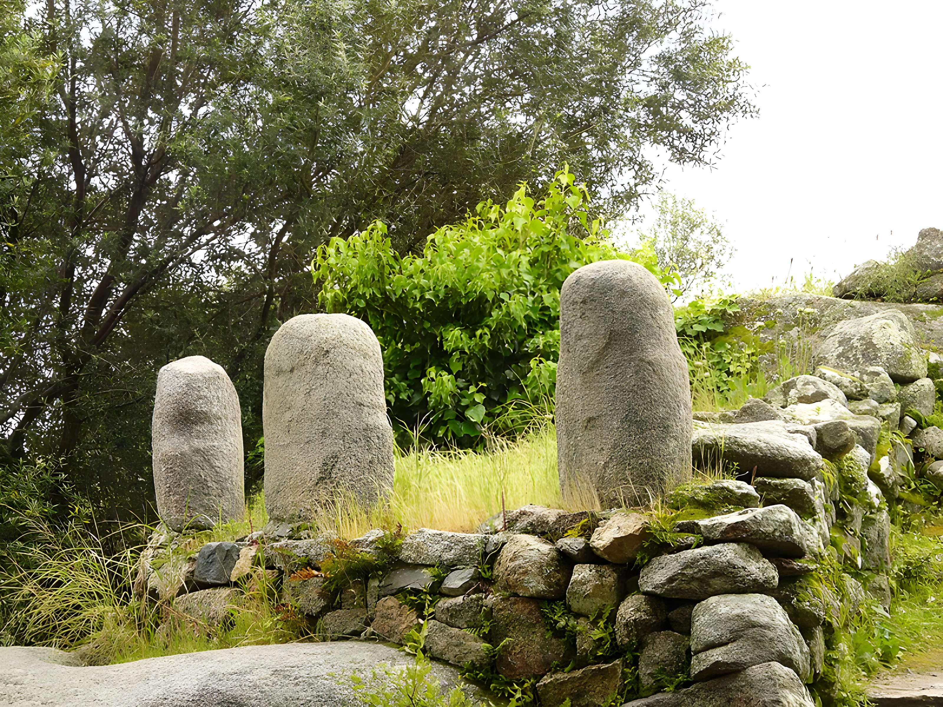 Site préhistorique de Callanchi