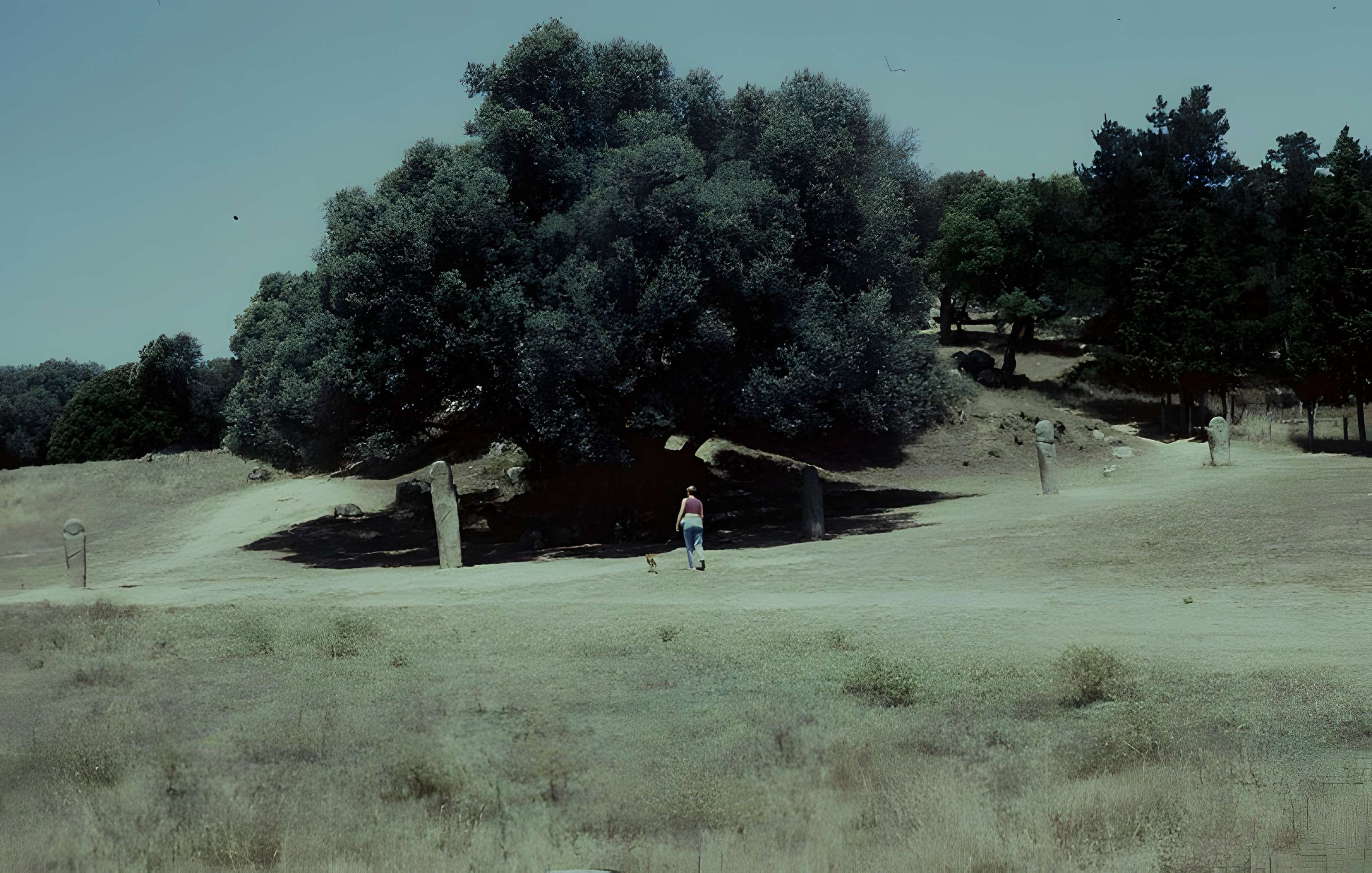 Site préhistorique de Callanchi