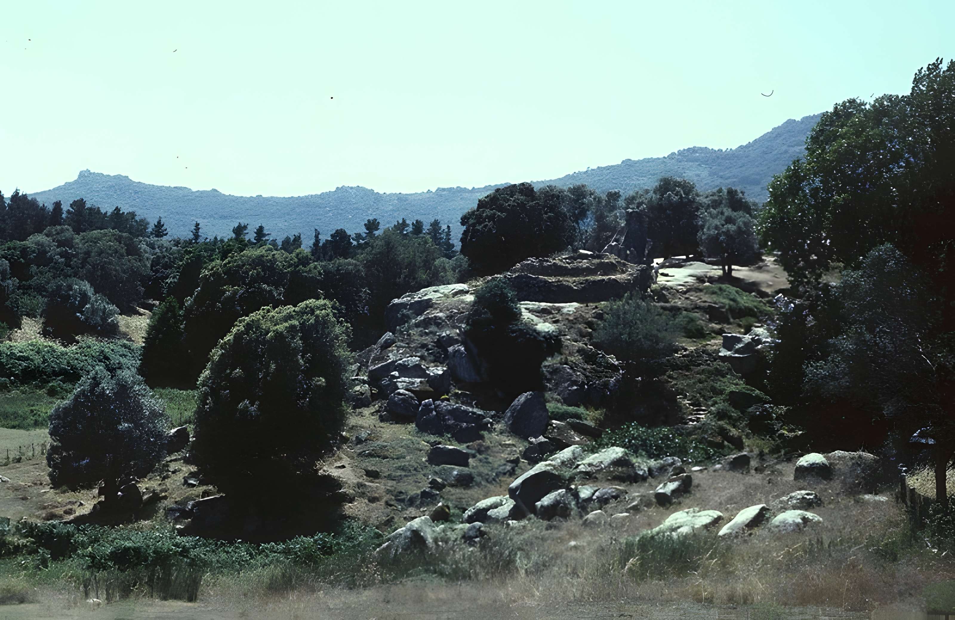 Site préhistorique de Callanchi