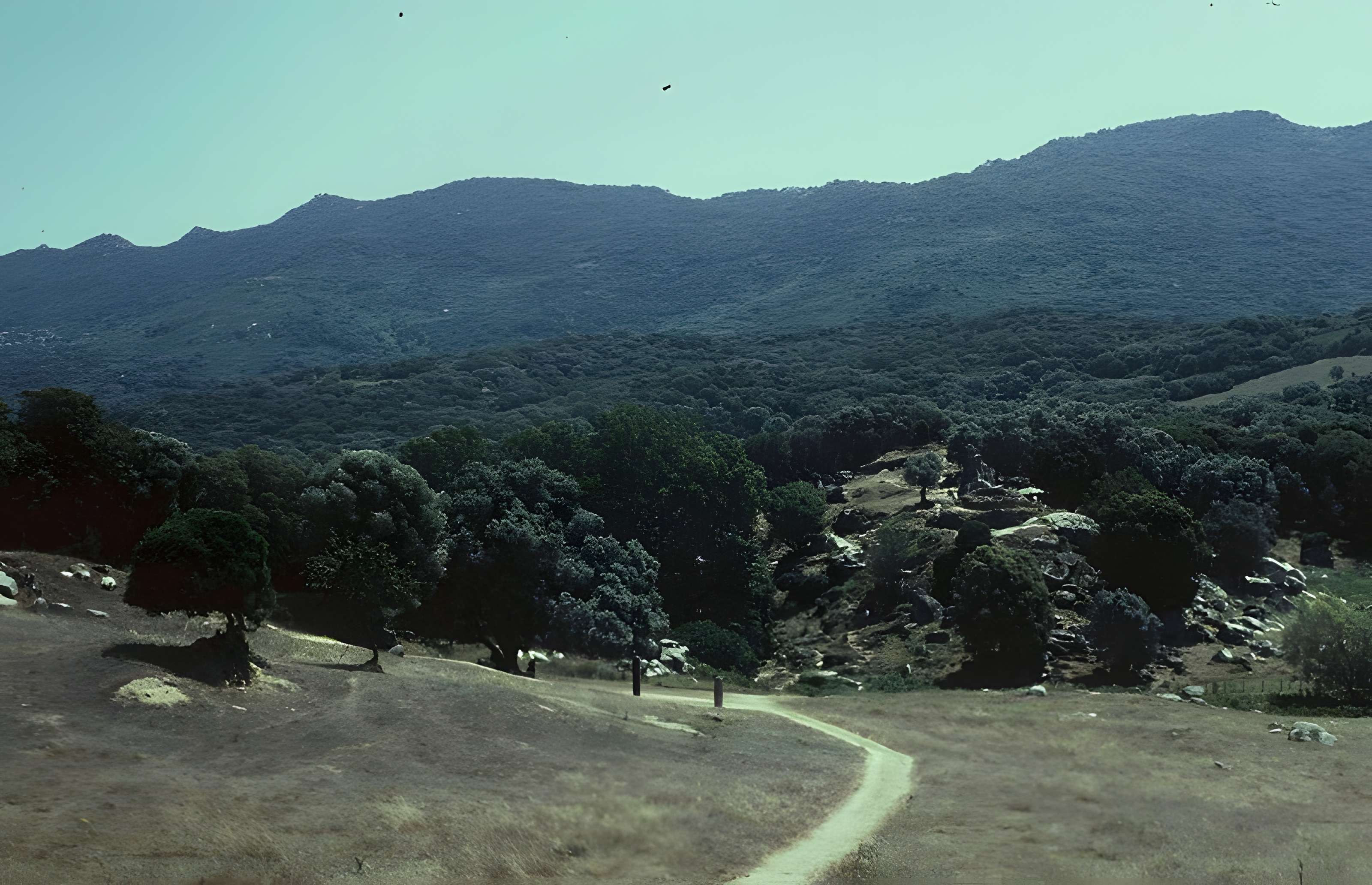 Site préhistorique de Callanchi