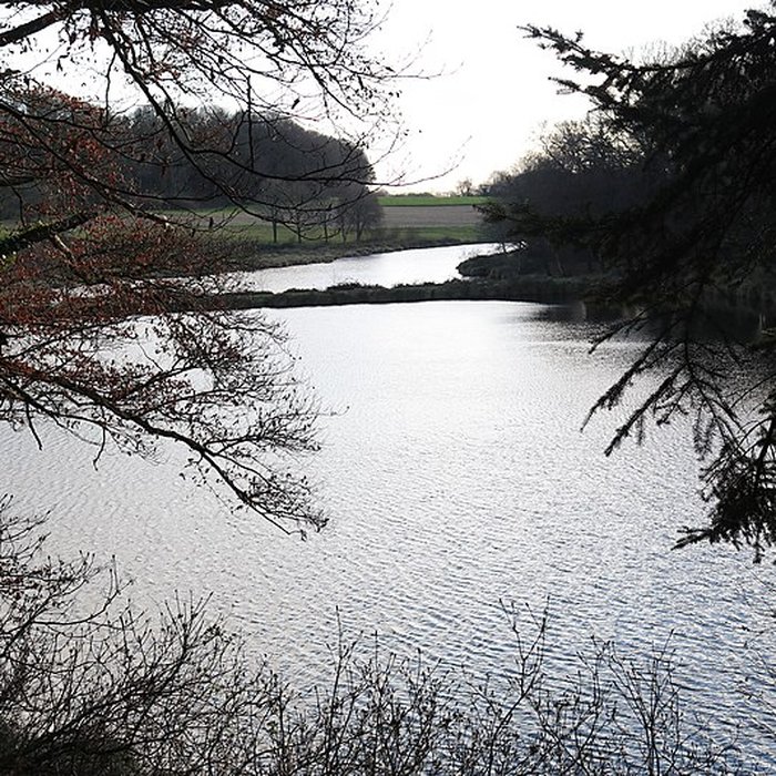 Photo de Château de Kerguéhennec
