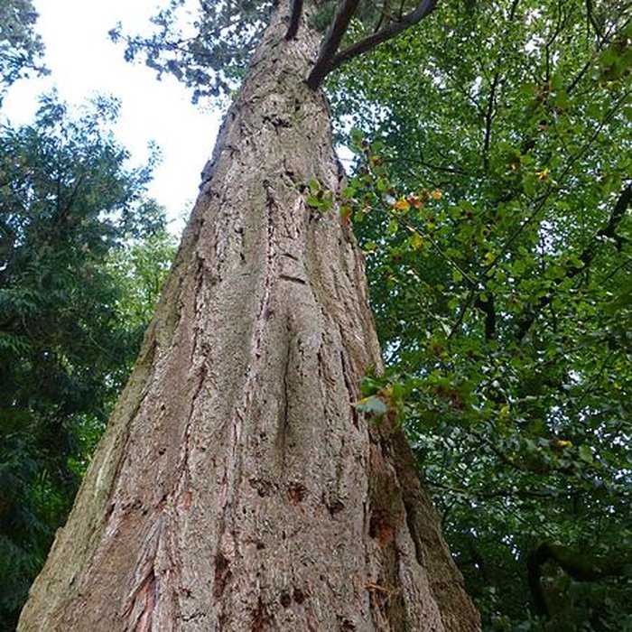 Photo de Château de Kerguéhennec