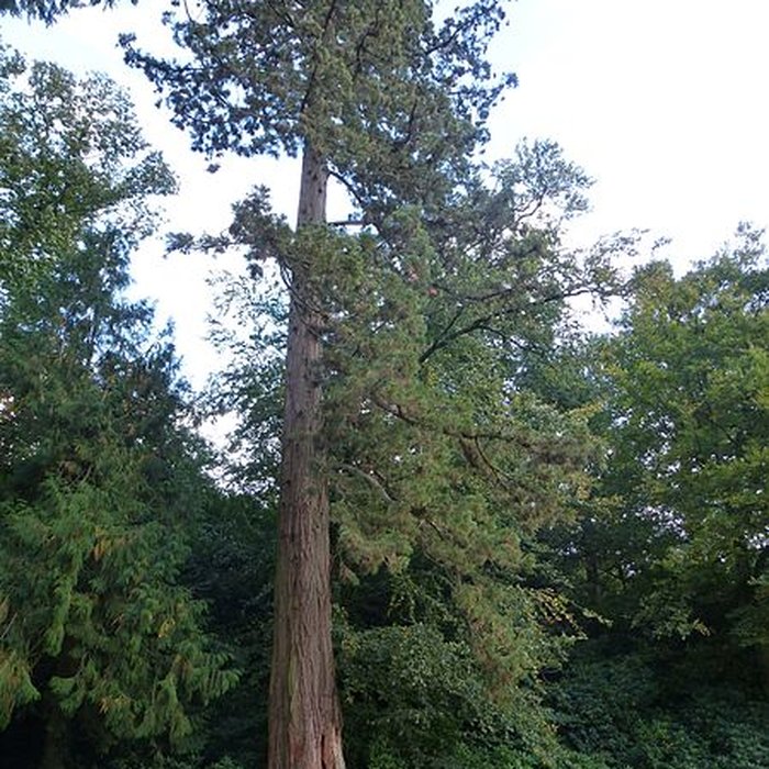 Photo de Château de Kerguéhennec