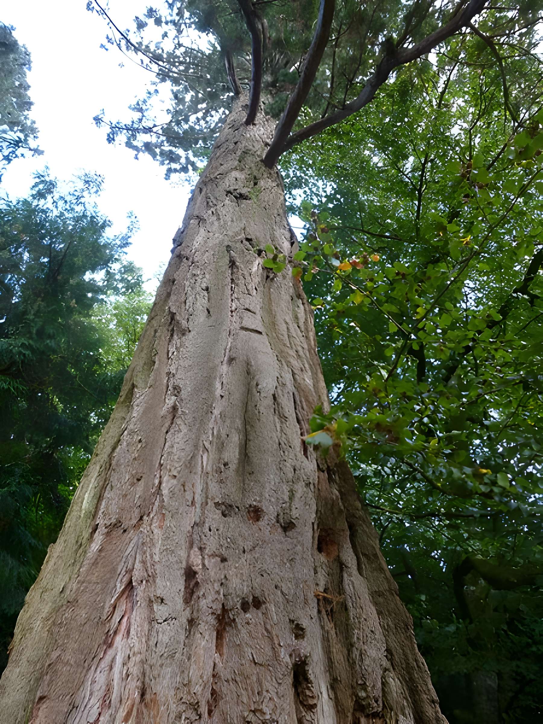 Château de Kerguéhennec