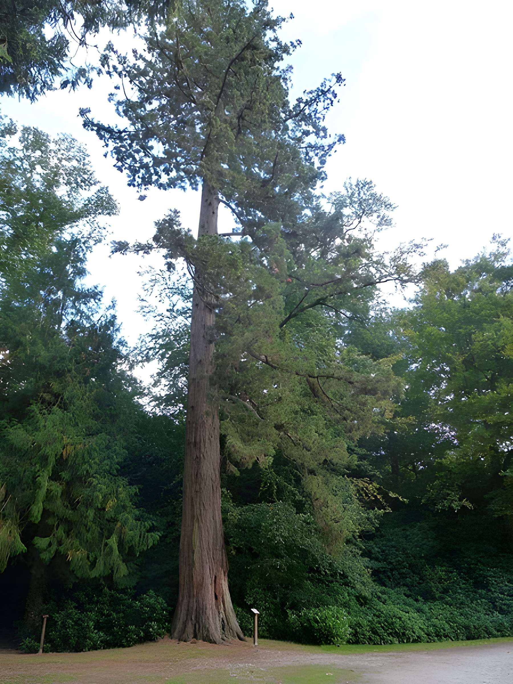 Château de Kerguéhennec