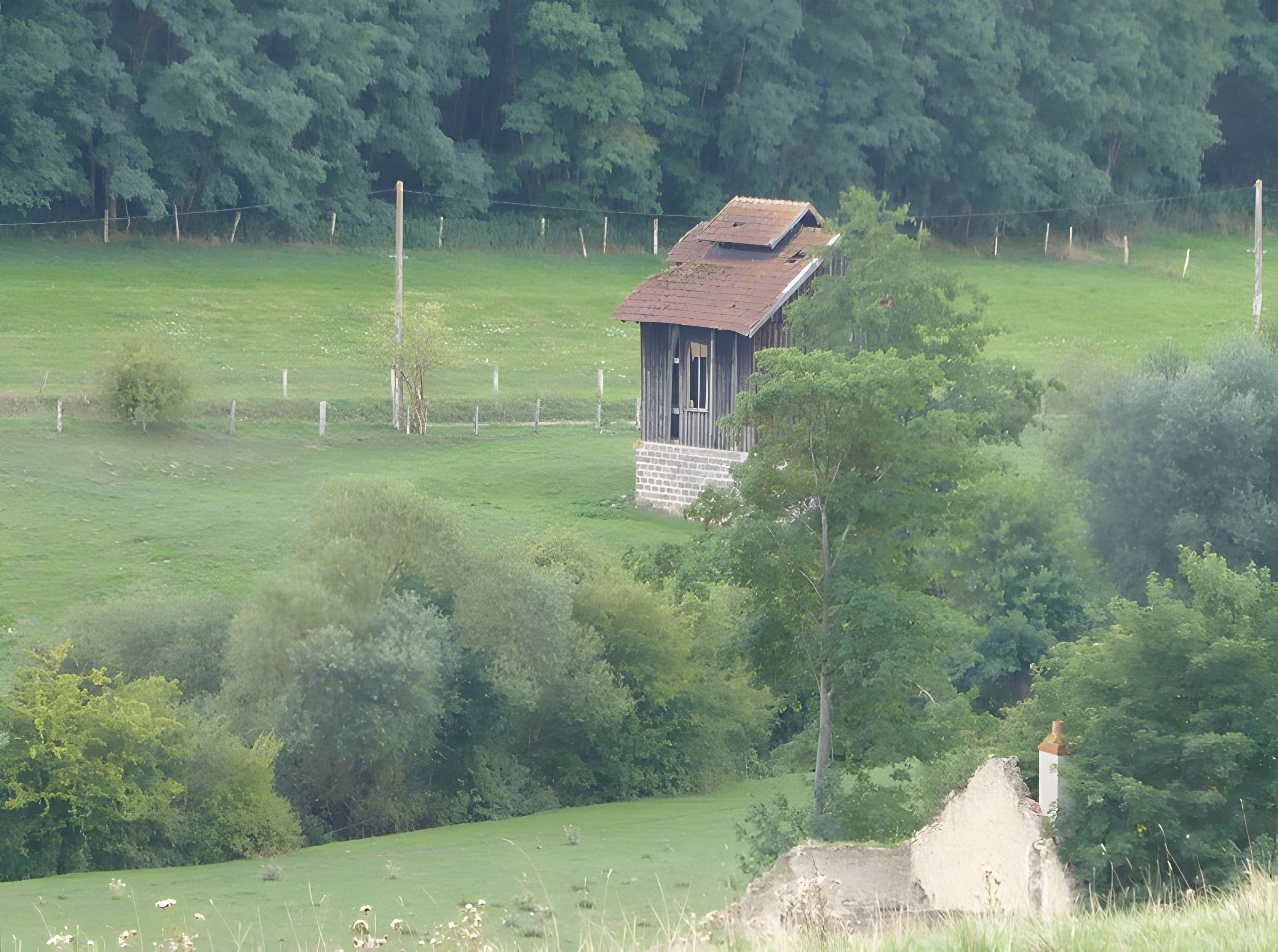 Sondages salins de la vallée de la Roanne