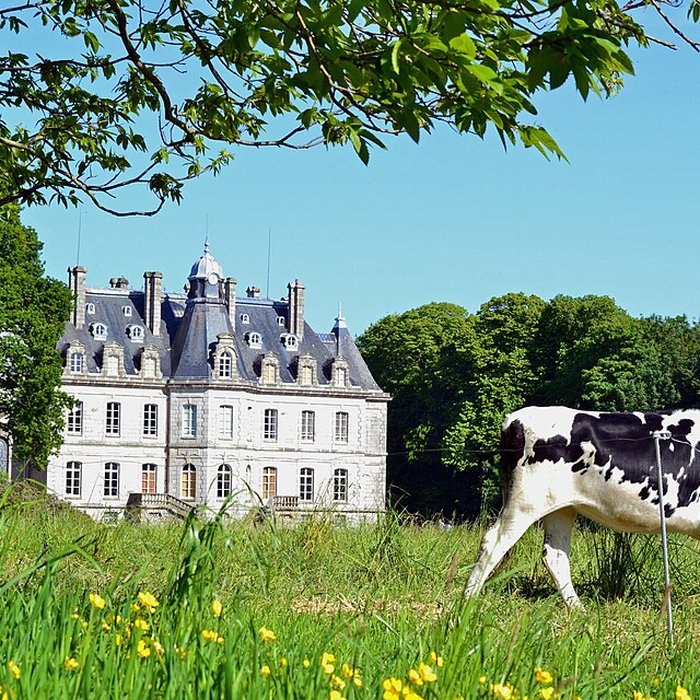 Photo de Château de Kernévez