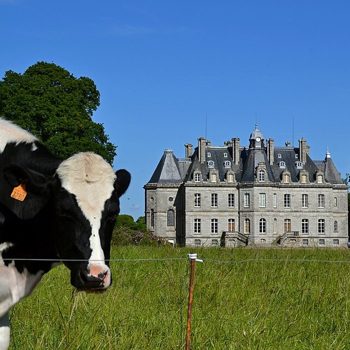 Photo de Château de Kernévez