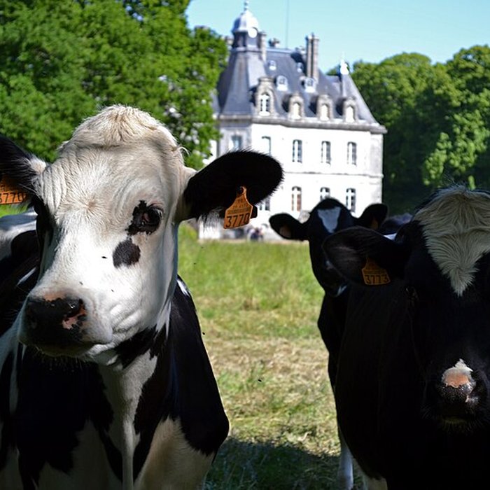 Photo de Château de Kernévez