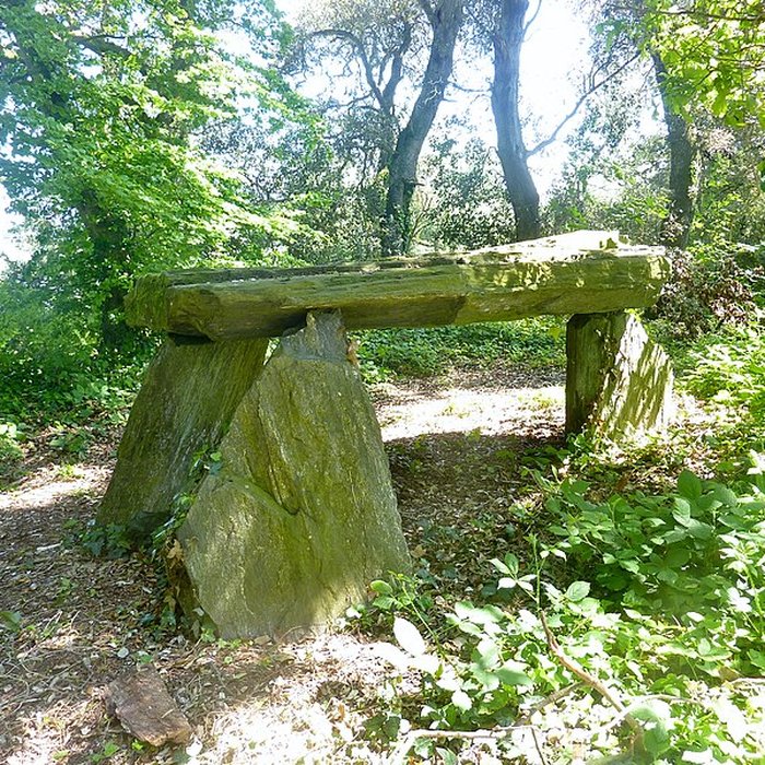 Photo de Château de Kernévez