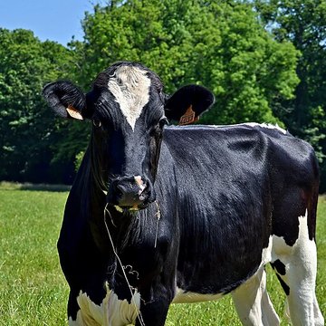Château de Kernévez