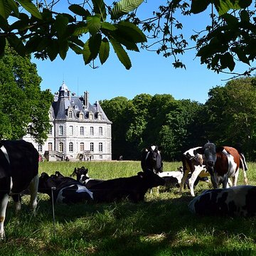 Château de Kernévez
