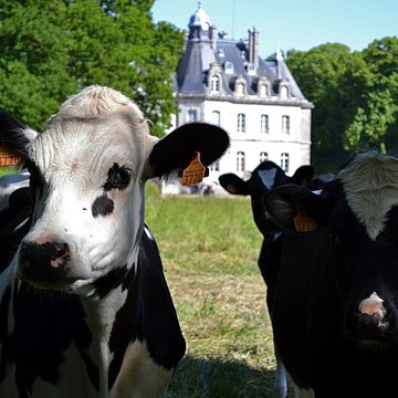 Château de Kernévez