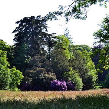 Château de Kernévez