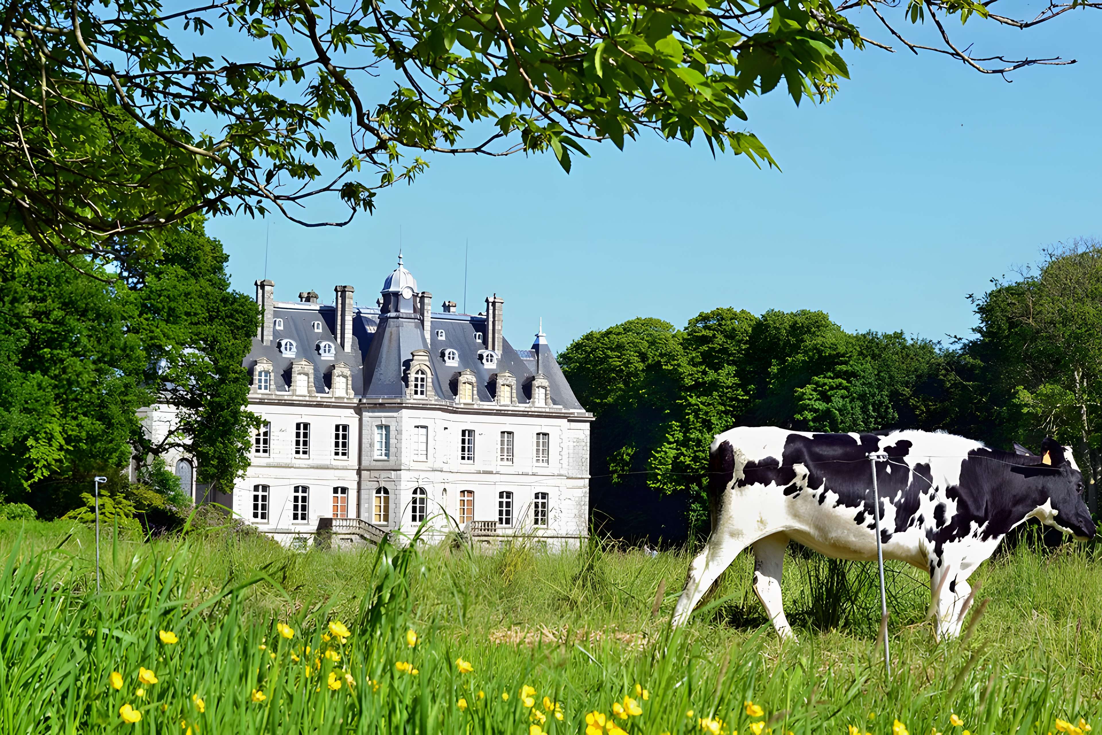 Château de Kernévez