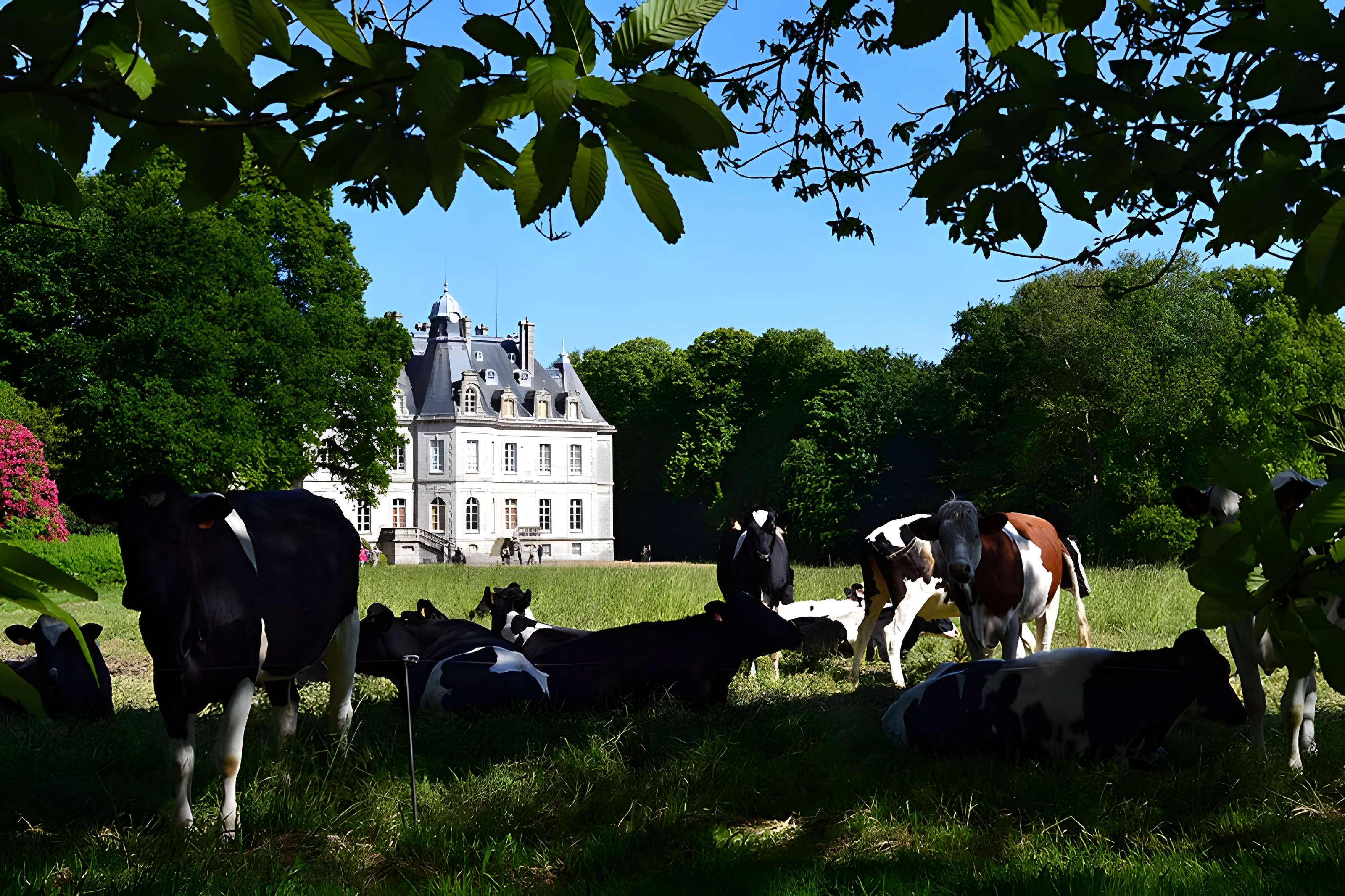 Château de Kernévez