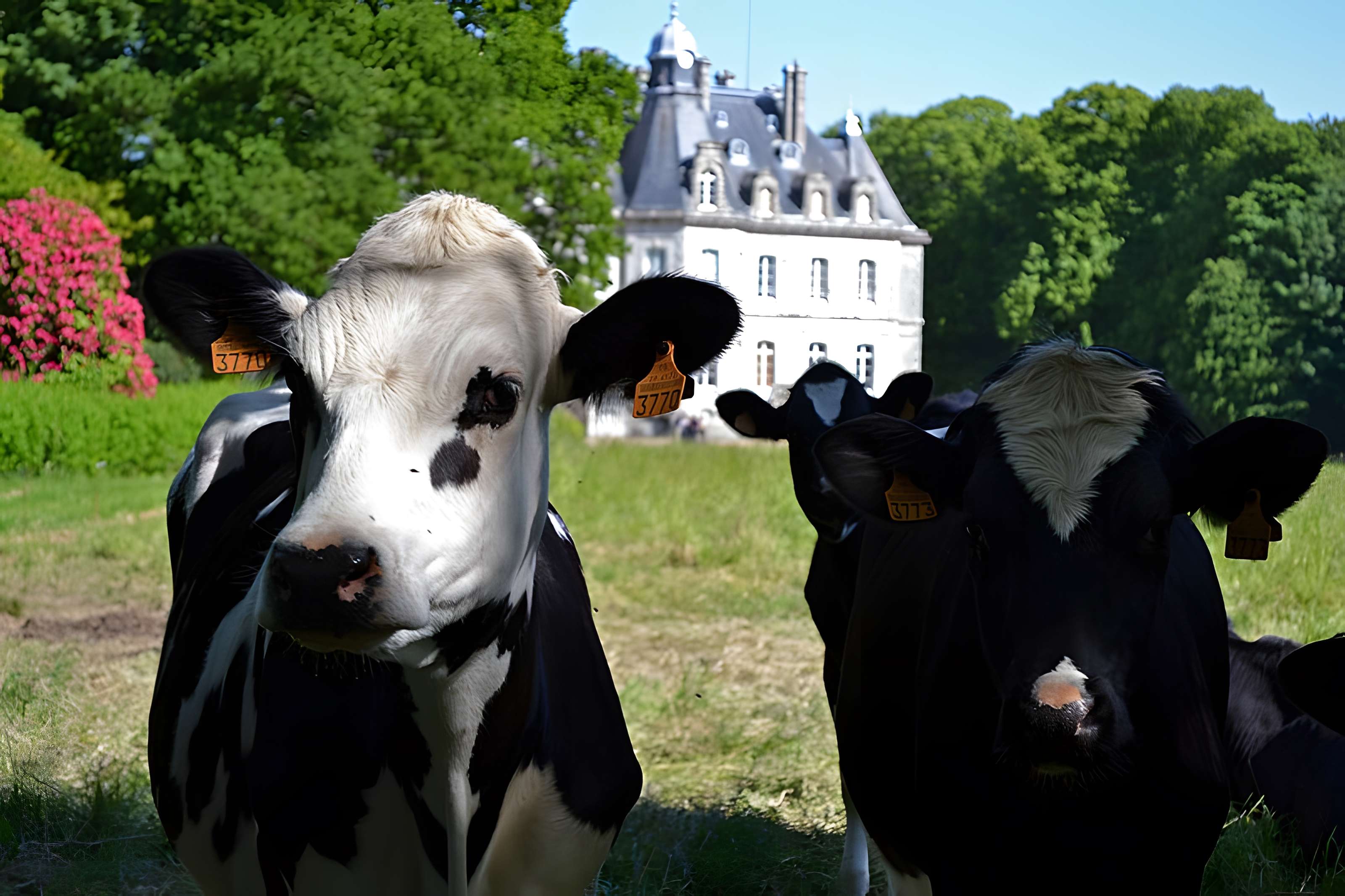 Château de Kernévez