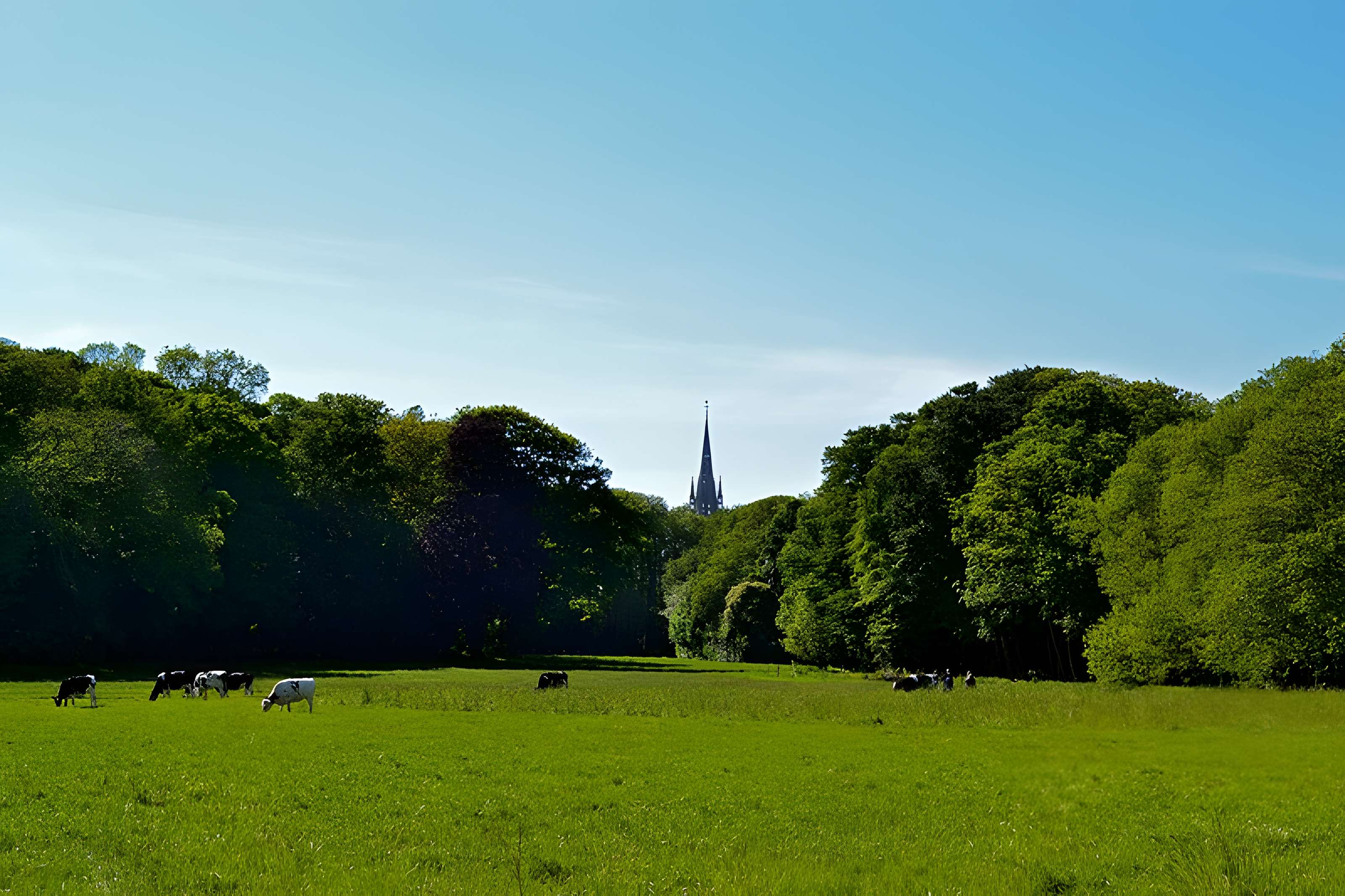 Château de Kernévez